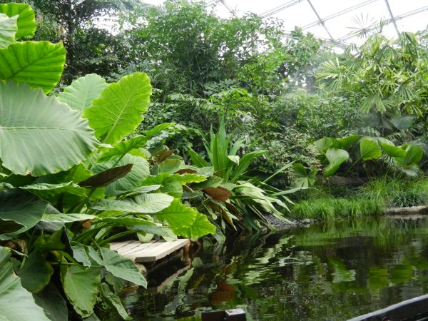 16 - Eine vielfaeltige Vegetation.jpg